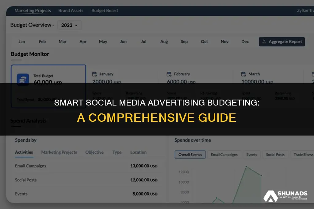 how much should i budget for social media advertising