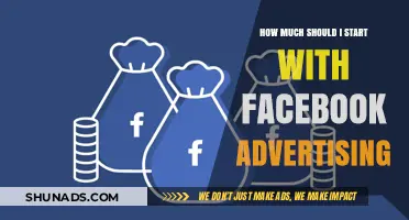 Boost Your Business: A Beginner's Guide to Facebook Advertising Budgets