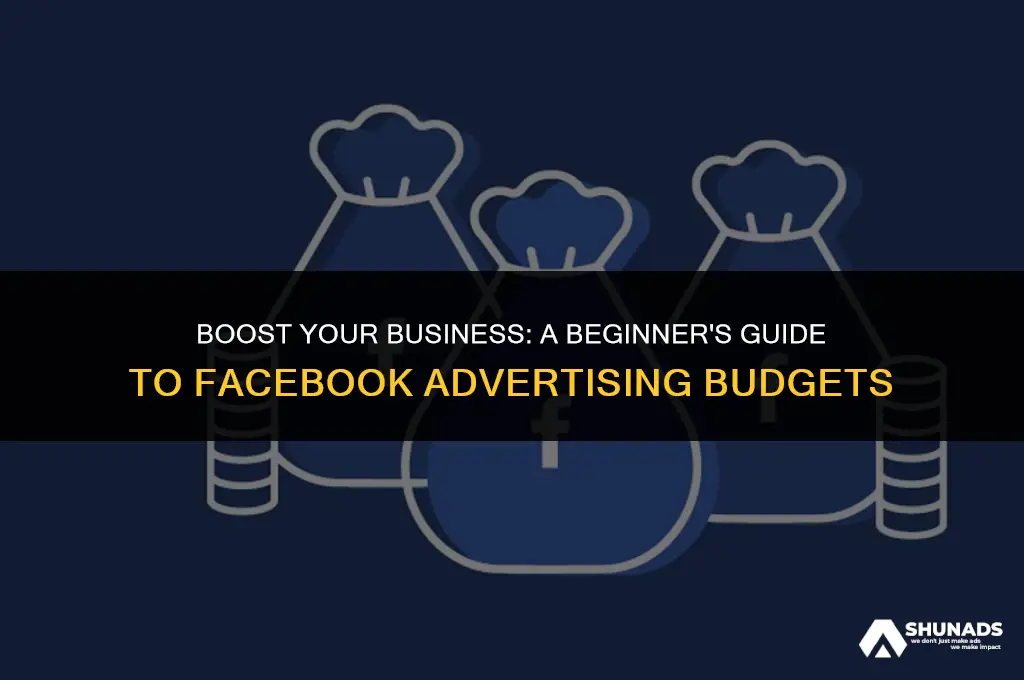 how much should i start with facebook advertising