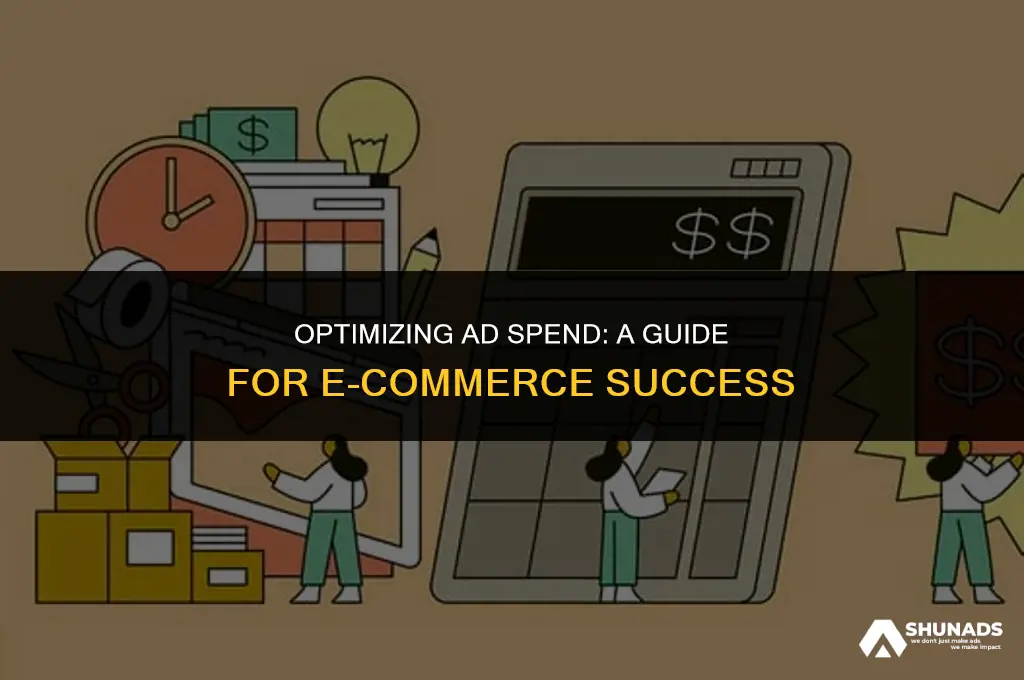 how much should my ecommerce site be spending on advertising