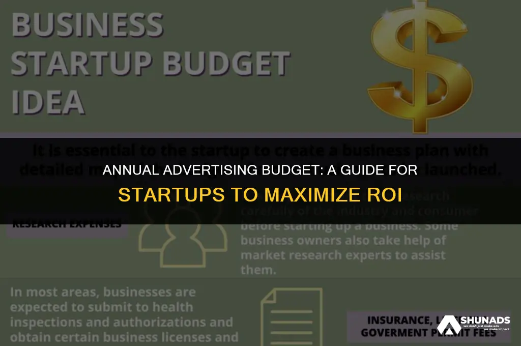 how much should you advertise in a year for startup