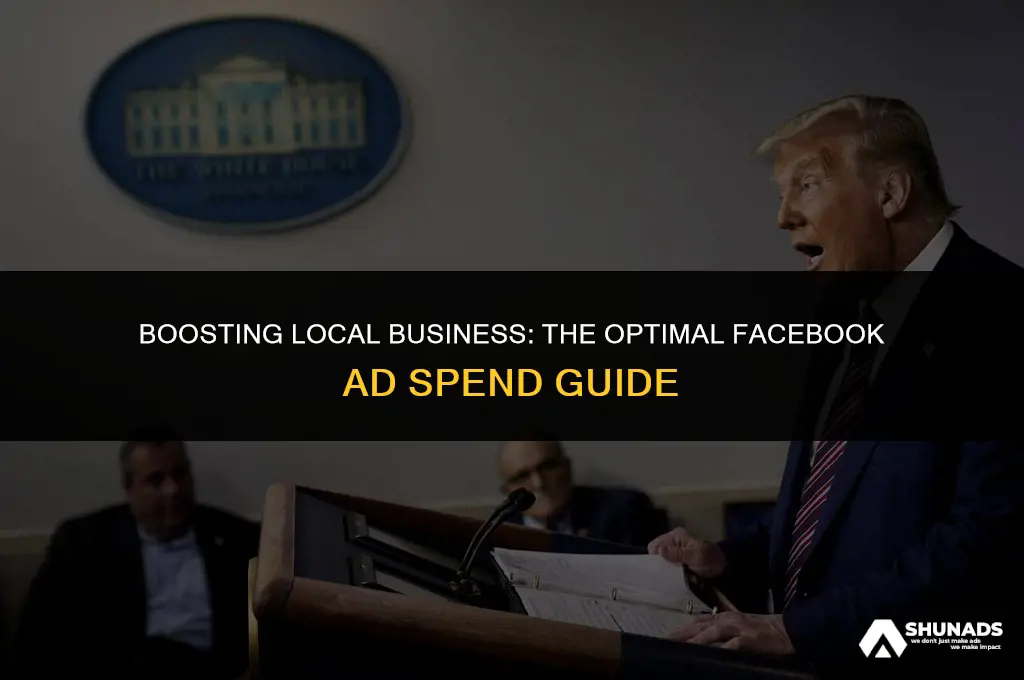 how much shuold local business spend on facebook advertising