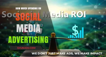 Maximizing ROI: A Guide to Optimal Social Media Ad Spend