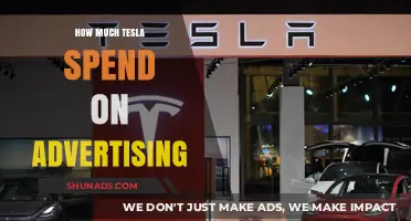 Decoding Tesla's Advertising Budget: A Comprehensive Analysis