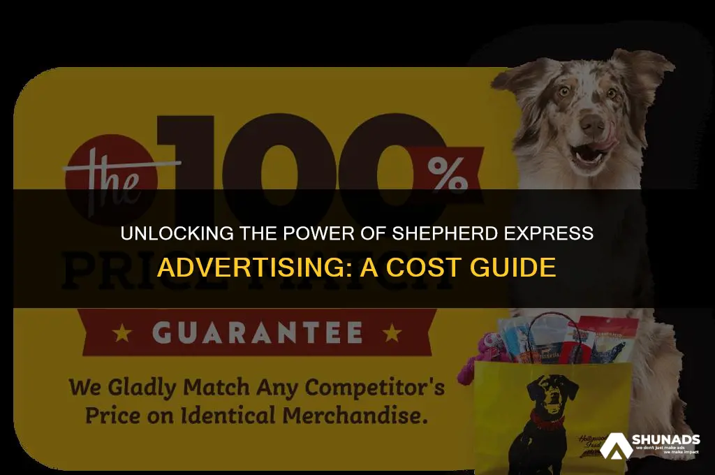 how much to advertise in sheperd express