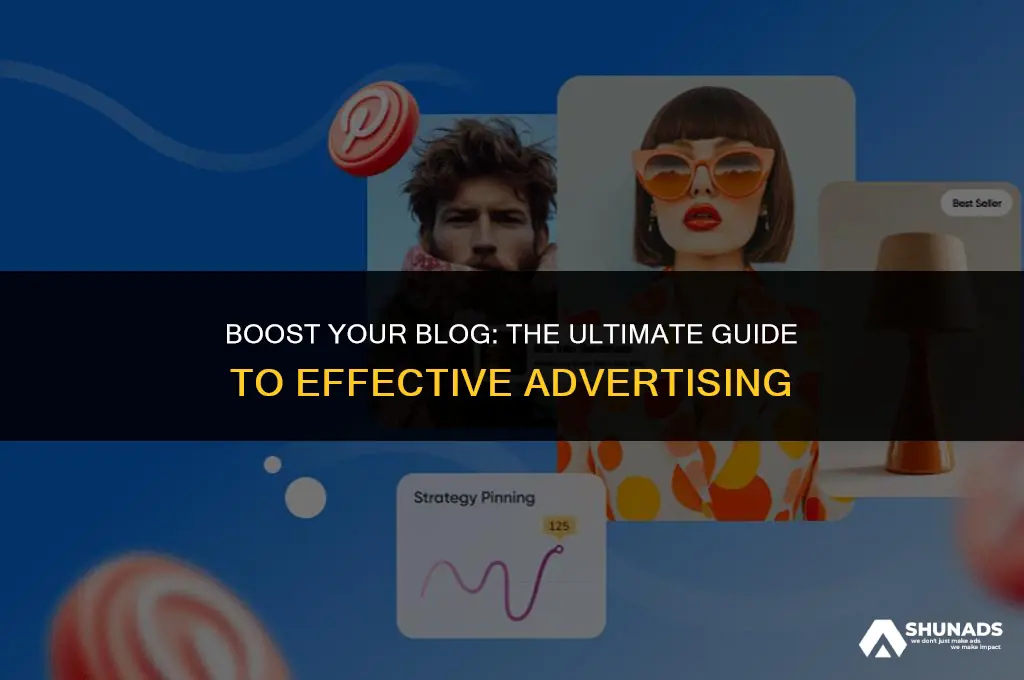 how much to advertise on a blog