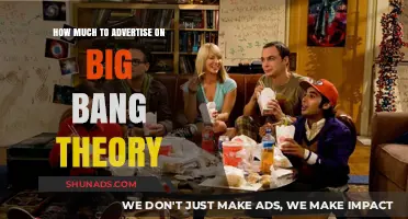 Decoding the Cost: Advertising on The Big Bang Theory