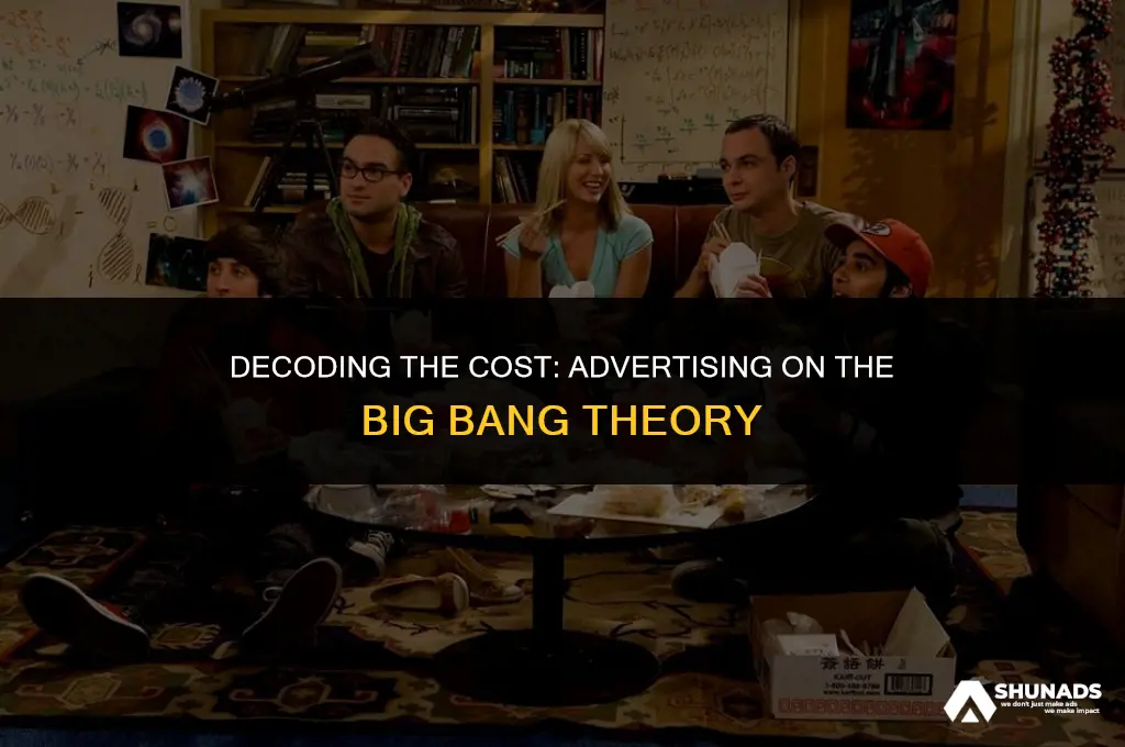 how much to advertise on big bang theory