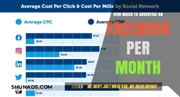 Boost Your Business: A Guide to Facebook Advertising Costs