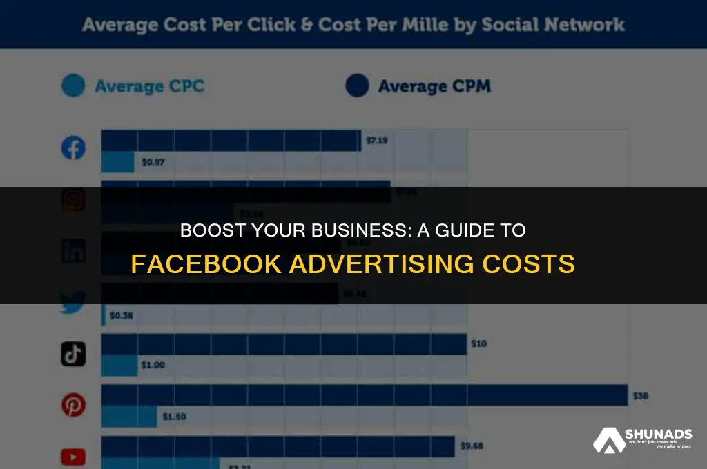 how much to advertise on facebook per month