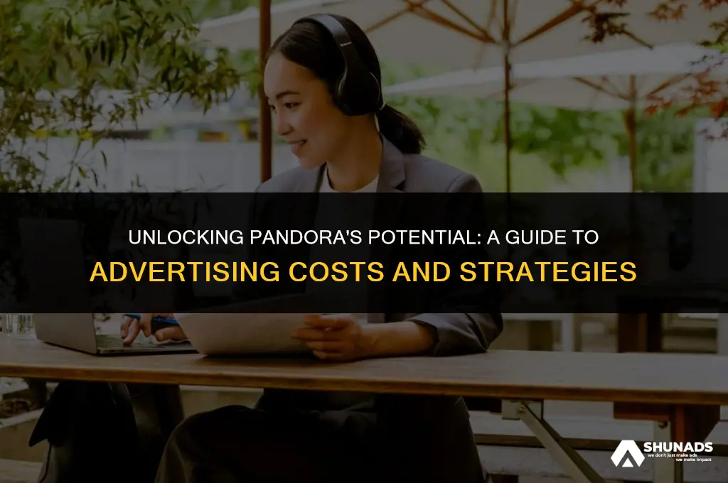 how much to advertise on pandora
