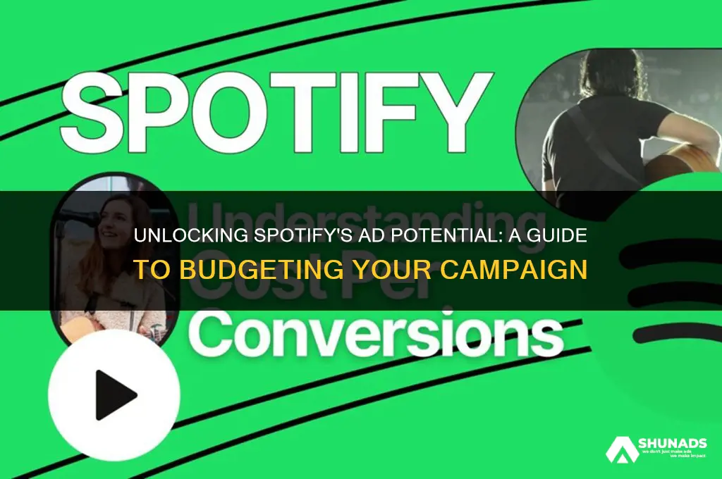 how much to advertise on spotif