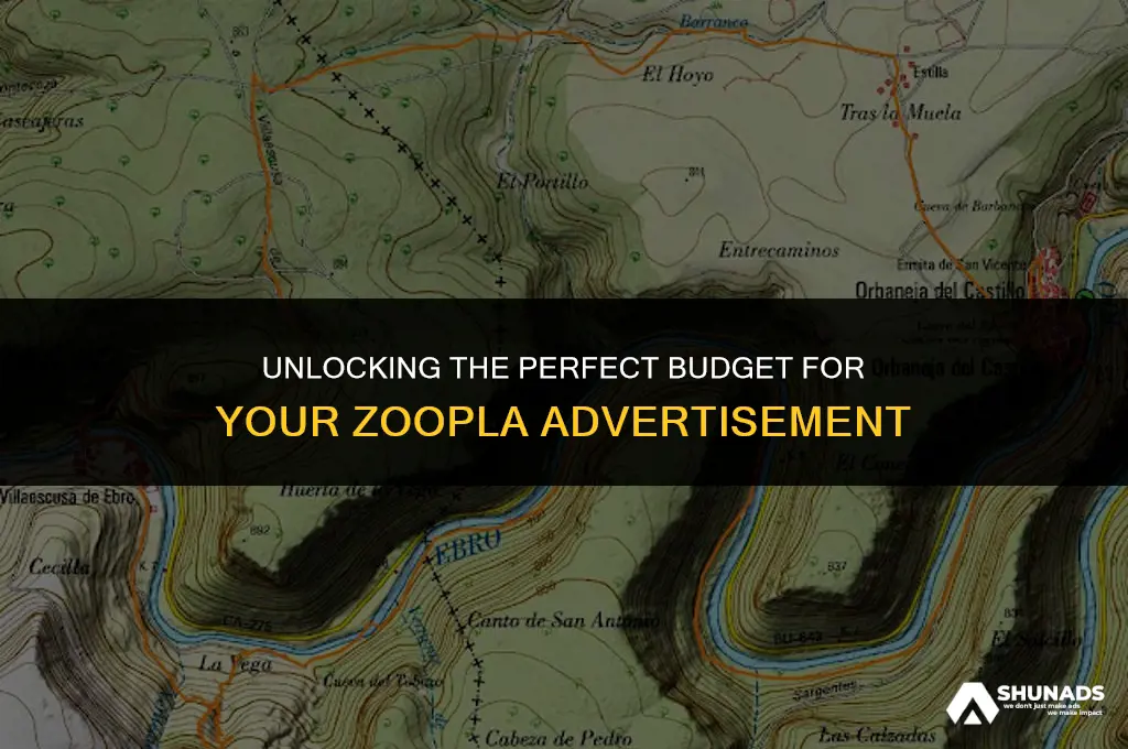 how much to advertise on zoopla