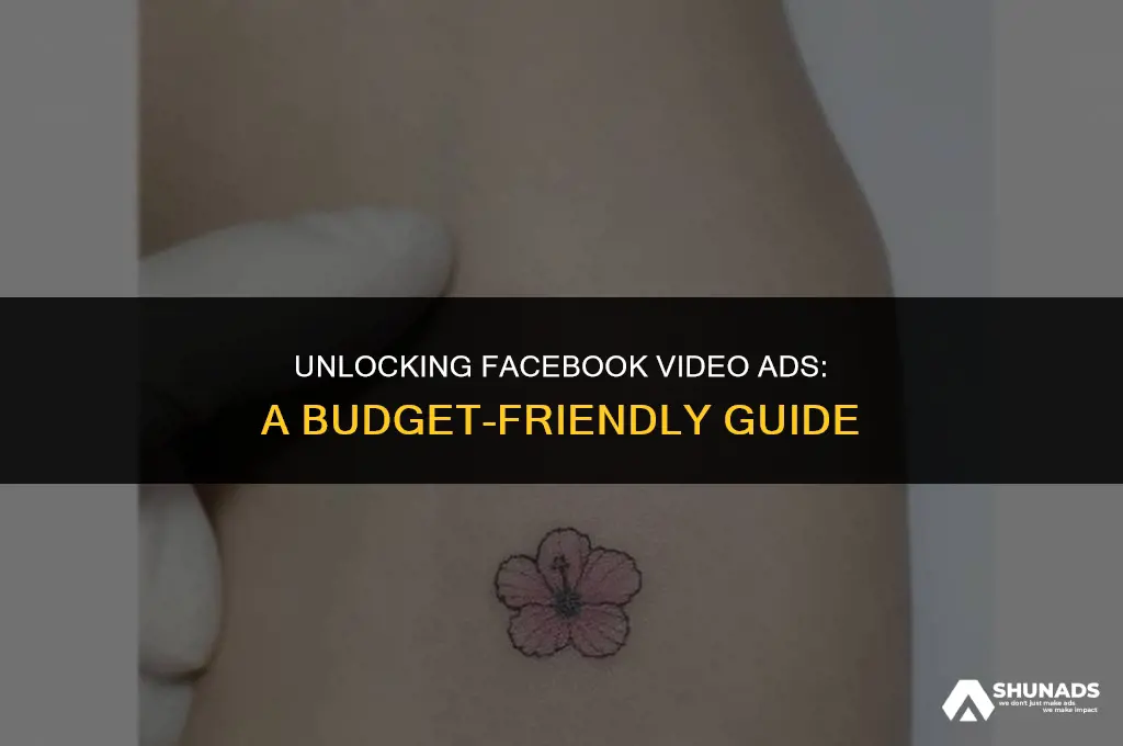 how much to advertise videos on facebook