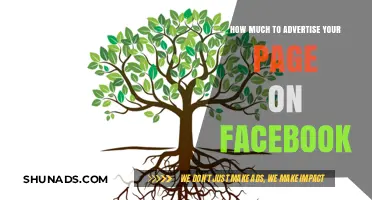 Boosting Your Online Presence: A Guide to Facebook Advertising Costs