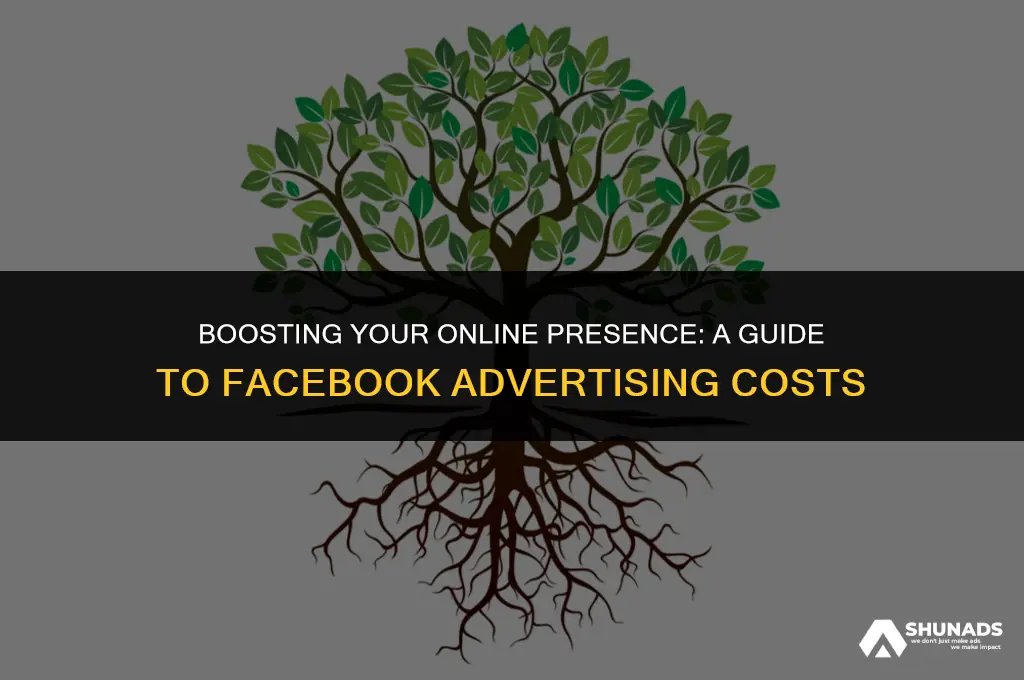 how much to advertise your page on facebook
