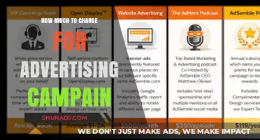 Pricing Your Advertising Campaign: A Guide to Setting the Right Budget