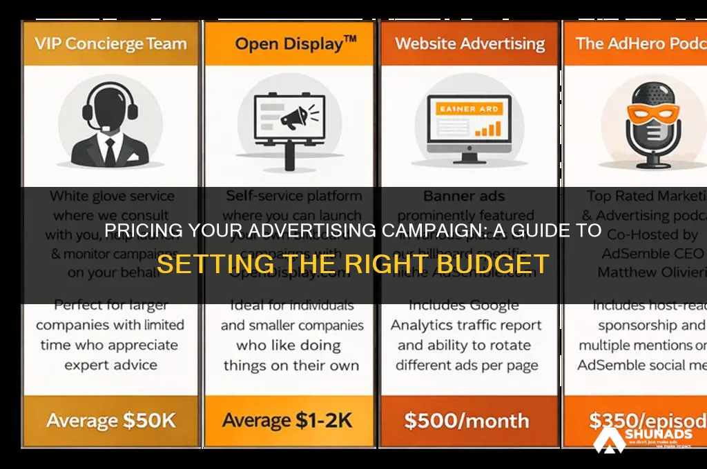 how much to charge for advertising campain