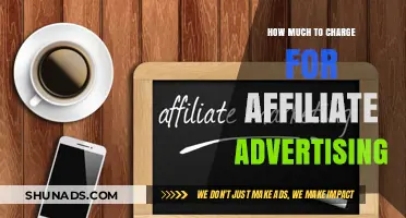 Pricing Your Affiliate Advertising: A Guide to Maximizing Revenue