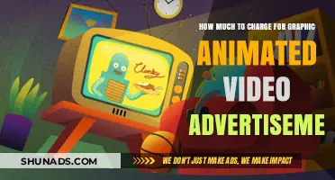 Pricing Guide: Animated Video Ads for Maximum ROI