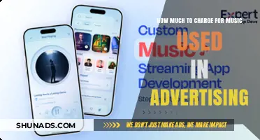 Setting the Right Tune: Pricing Music for Advertisements