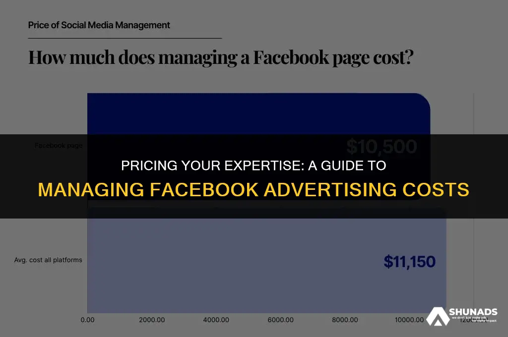 how much to charge to manage facebook advertising