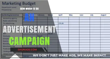 Budgeting for Impact: Crafting an Effective Advertisement Campaign