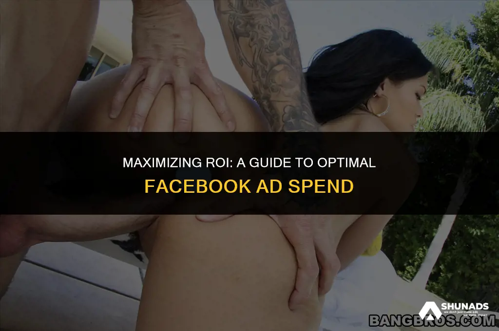 how much to invest in facebook advertising