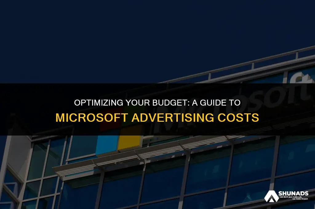 how much to pay for microsoft advertising