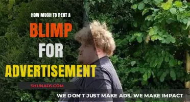 Eye-Catching Aerial Advertising: The Cost of Renting a Blimp