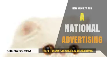 Unlocking the Cost Mysteries of National Advertising Campaigns