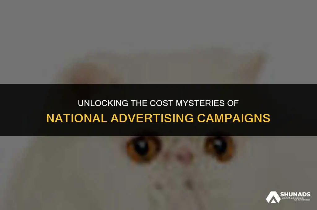 how much to run a national advertising