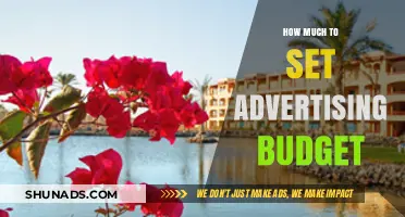 Strategizing Your Ad Spend: A Guide to Setting the Perfect Advertising Budget