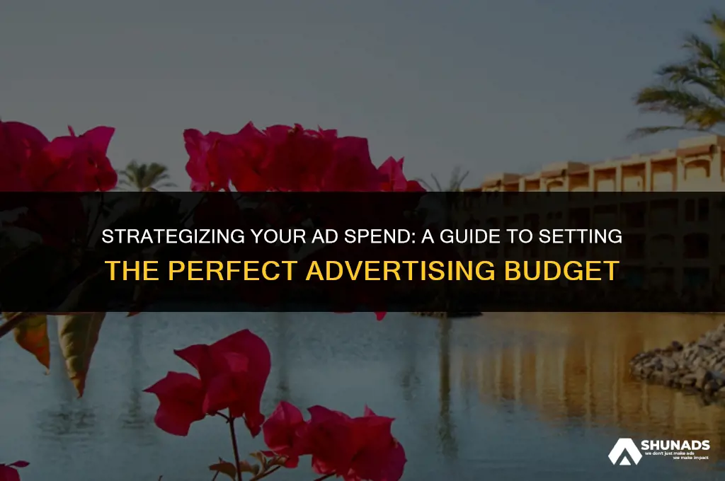 how much to set advertising budget