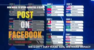 Boosting Your Blog: A Guide to Facebook Ad Spend