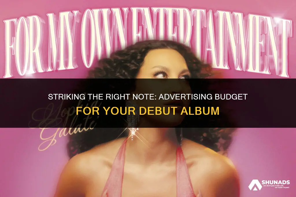 how much to spend on advertising debut album