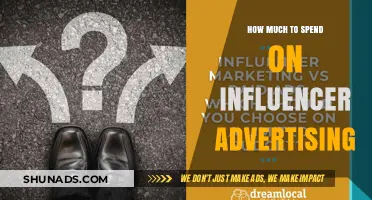Maximizing ROI: A Guide to Influencer Advertising Budgets