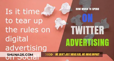 Boosting Your Brand: A Guide to Twitter Advertising Budgets