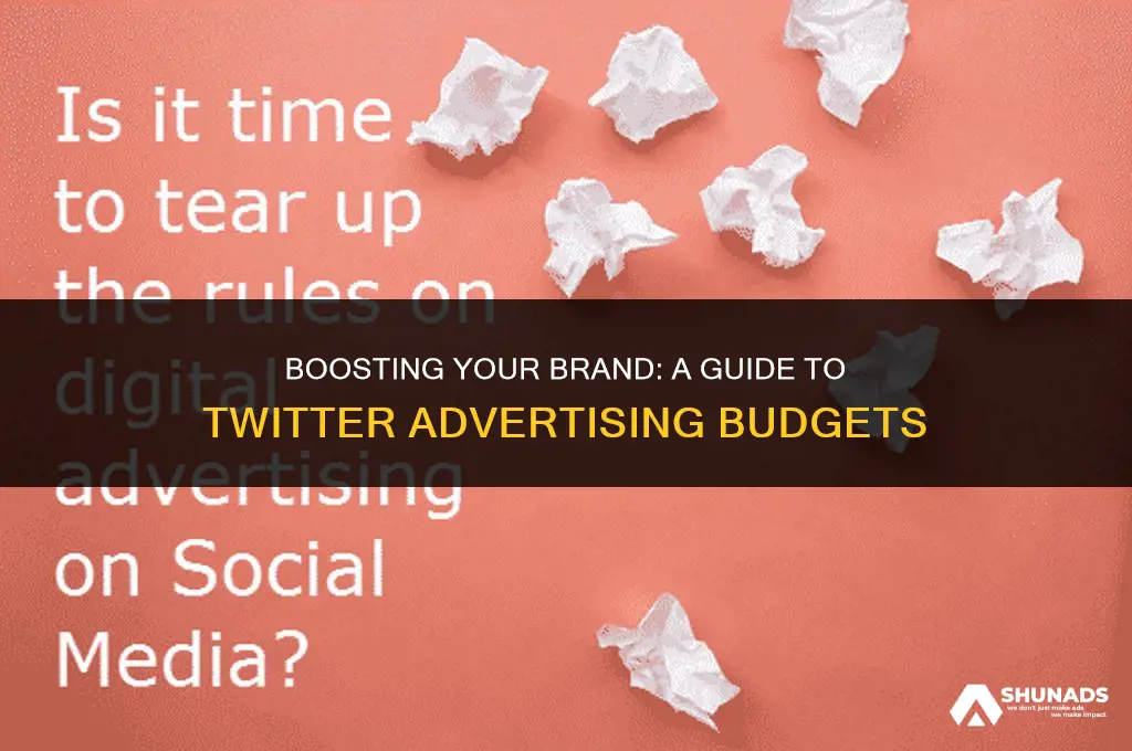 how much to spend on twitter advertising