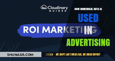 Leveraging Numerical Data to Optimize Advertising Strategies and ROI