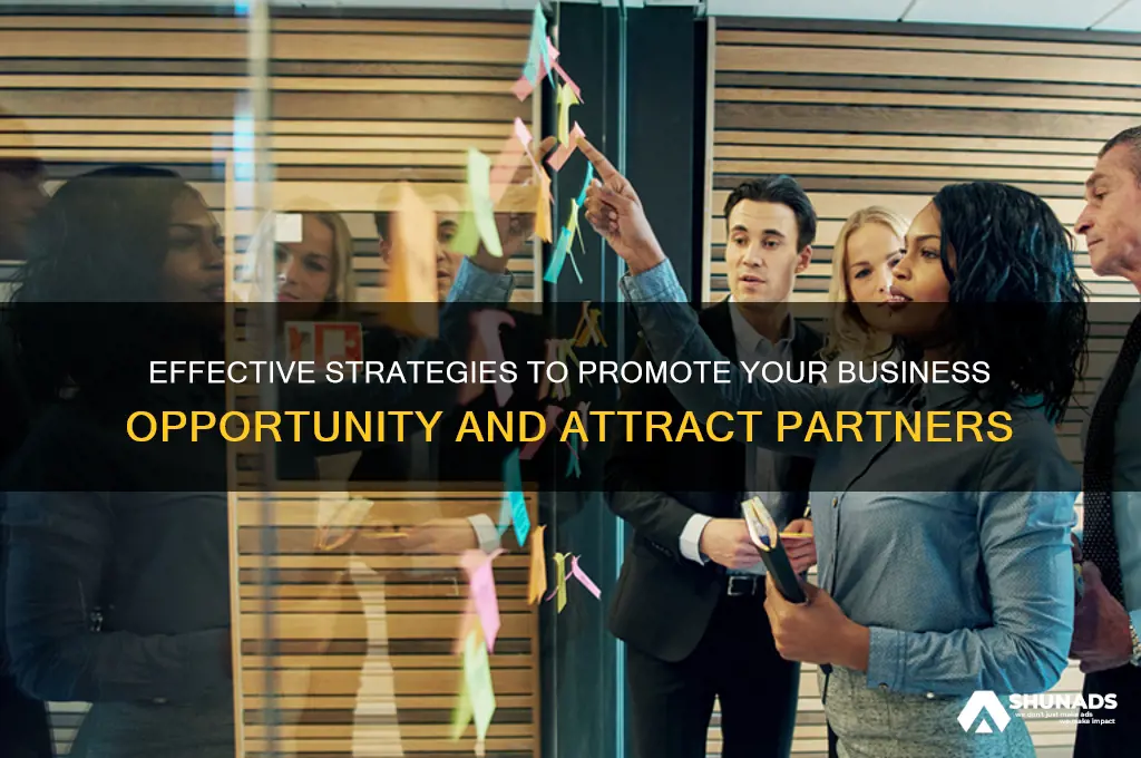 how to advertise a business opportunity