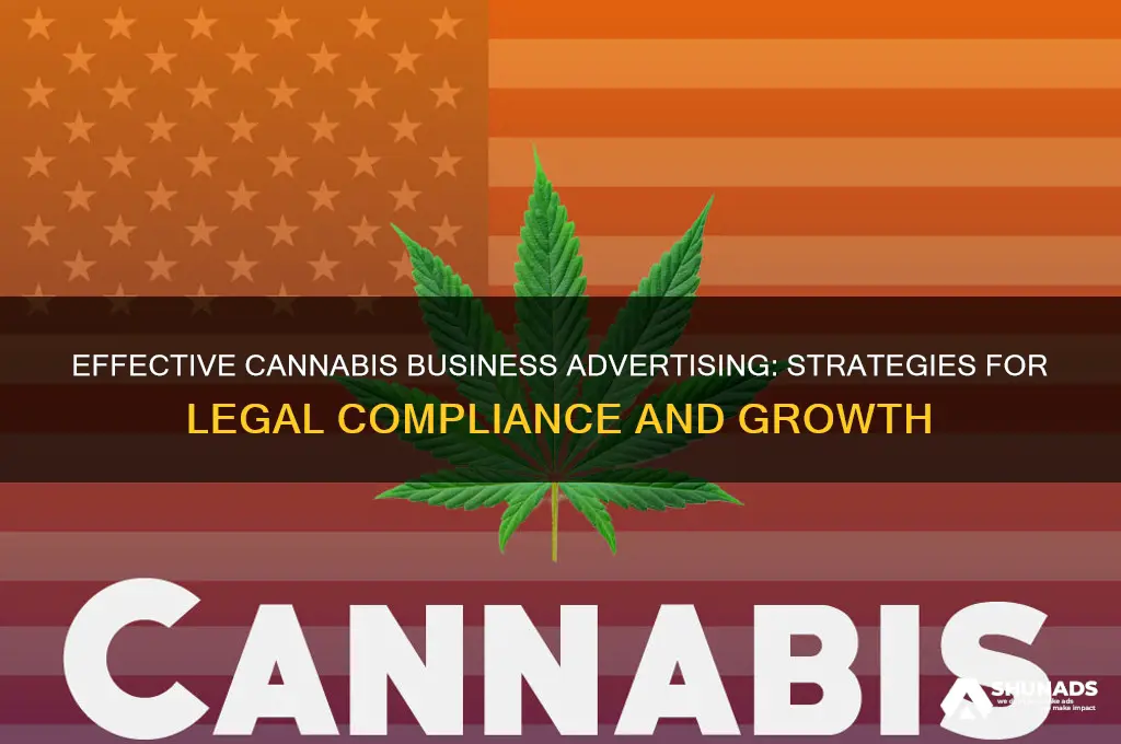 how to advertise a canibas business