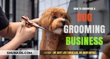 Effective Strategies to Promote Your Dog Grooming Business and Attract Clients