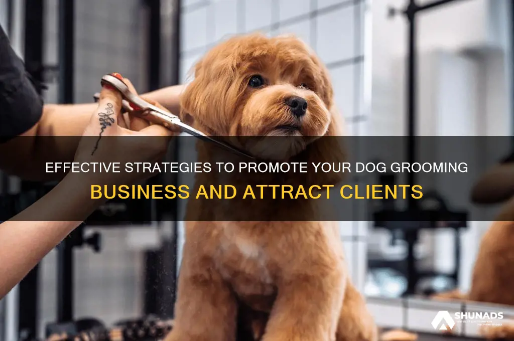 how to advertise a dog grooming business