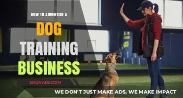 Effective Strategies to Promote Your Dog Training Business Successfully