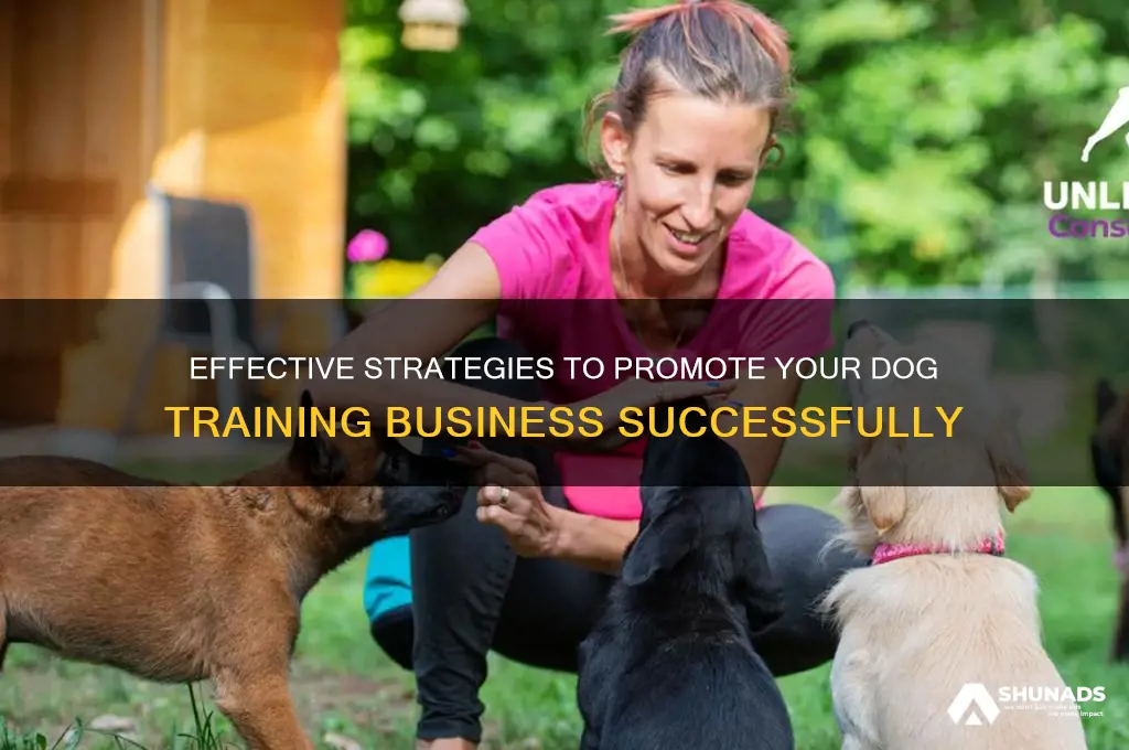 how to advertise a dog training business