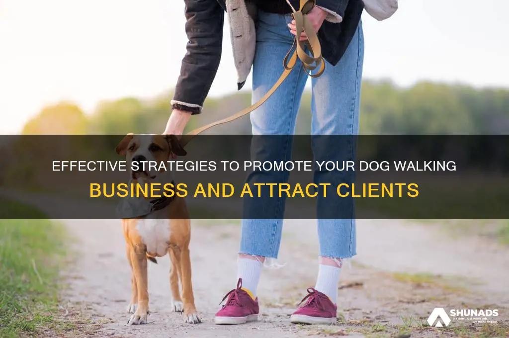 how to advertise a dog walking business
