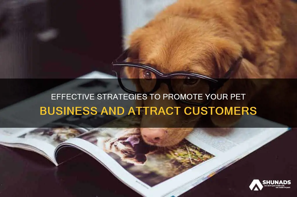 how to advertise a pet business