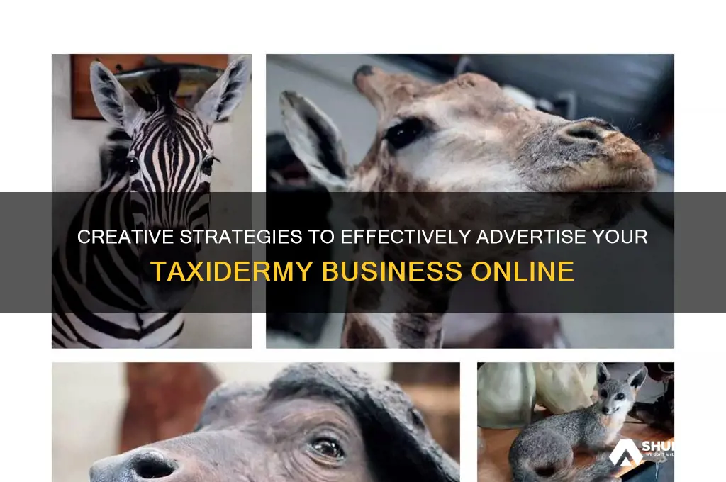 how to advertise a taxidermy business