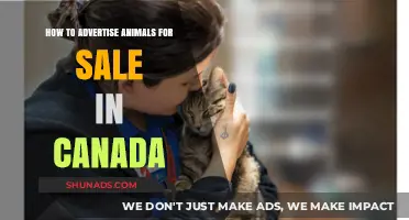 Effective Strategies for Advertising Animals for Sale in Canada